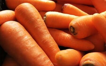 完熟 冬にんじんジュース 720ml×2本（計1400ml） 【2026年2月上旬～8月下旬迄発送予定】 人参 にんじん ニンジン ジュース 飲料 野菜飲料 野菜ジュース 飲み物 果汁飲料 常温 高知県 香美市