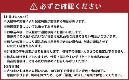 さつまいもおまかせセット 約2.5kg （ 紅はるか、 安納芋、 紫芋 ） 野菜 やさい さつまいも さつま芋 サツマイモ いも イモ 芋 セット