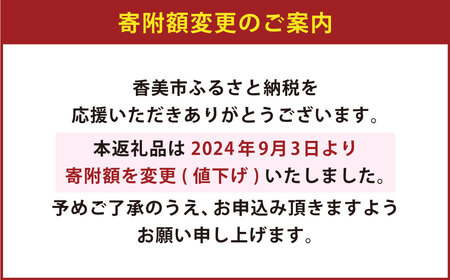 雪ヶ峰ロール くちどけ ショコラ 1本 約14cm  ロールケーキ チョコケーキ チョコ お取り寄せ 生クリーム おかし お菓子 スイーツ デザート