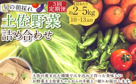 【定期便3回】旬の朝採れ土佐野菜詰め合わせ（10～13品目）詰め合わせ 野菜セット 野菜 ギフト やさいセット お取り寄せグルメ 家庭用 旬野菜 新鮮 特産 農薬不要 食材