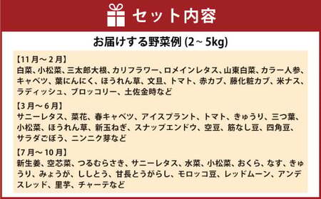 旬の朝採れ土佐野菜詰め合わせ（10～13品目）詰め合わせ 野菜セット 野菜 ギフト やさいセット お取り寄せグルメ 家庭用 旬野菜 新鮮 特産 農薬不要 食材