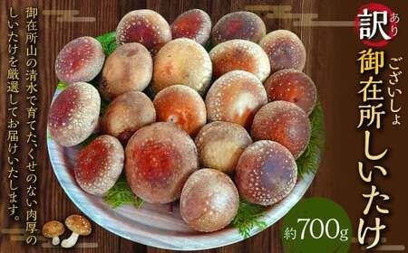 訳あり 御在所しいたけ 約700g（約350g×2） 生しいたけ しいたけ 椎茸 シイタケ 肉厚 山菜 お取り寄せ 冷蔵