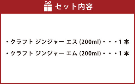 Craft Ginger S＆M 200ml 無添加 国産 生姜 ジンジャーシロップ ２本 セット 生姜 ショウガ しょうが ジンジャー シロップ