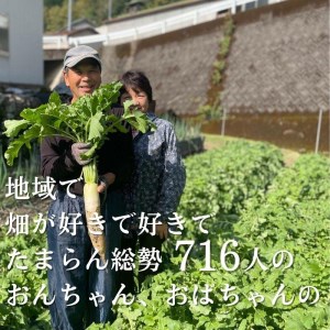 『定期便』野菜詰め合わせセット3ヵ月