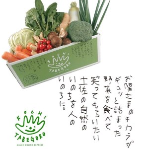 『定期便』野菜詰め合わせセット12ヵ月