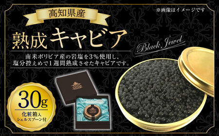 高知県産熟成キャビア30g(化粧箱)シェルスプーン付 Black Jewel