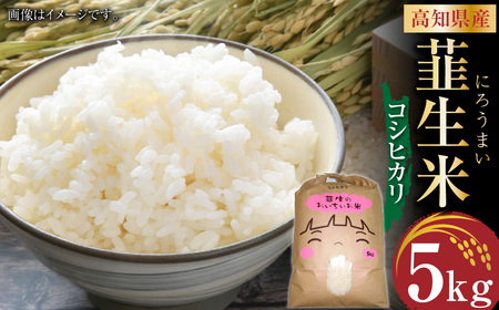 【令和6年産】米コシヒカリ 韮生米 高知県産 5kg お届け 【2024年9月上旬~2025年１月下旬迄発送】 お米 米 コシヒカリ こしひかり 精米