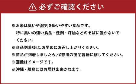 【令和6年産】米コシヒカリ 韮生米 高知県産 5kg お届け 【2024年9月上旬~2025年１月下旬迄発送】 お米 米 コシヒカリ こしひかり 精米