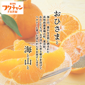 ＜先行予約＞訳アリ完熟ぽんかん 5kg 国産 東洋町産 訳あり 甘酸っぱい ジューシー 高知県 東洋町 四国 お取り寄せ フルーツ 蜜柑 ミカン 果物 送料無料 産地直送 F119 【株式会社フクチャンFARM】