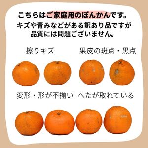 ＜先行予約＞訳アリ完熟ぽんかん 5kg 国産 東洋町産 訳あり 甘酸っぱい ジューシー 高知県 東洋町 四国 お取り寄せ フルーツ 蜜柑 ミカン 果物 送料無料 産地直送 F119 【株式会社フクチャンFARM】
