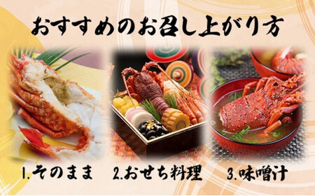 S37-B リピーター続出！伊勢海老＜400～500g（1～2尾）ランダム＞ 【株式会社森海家】