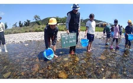 野根川遊漁券（年券）　NO2 【野根川漁業協同組合】