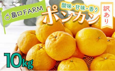 【先行予約】訳ありポンカン＜10kg＞　HT12 [H-04] 【畠口FARM（畠口　佳養）】