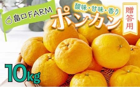 ＜先行予約＞ポンカン【贈答用】10kg　HT14 [H-10] 【畠口FARM（畠口　佳養）】