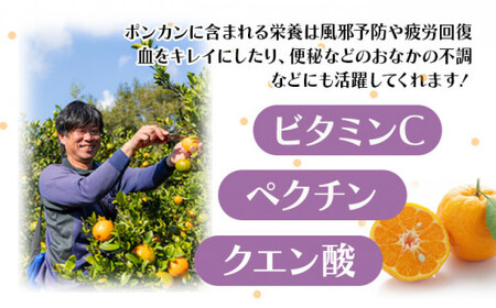 ＜先行予約＞ポンカン【贈答用】10kg　HT14 [H-10] 【畠口FARM（畠口　佳養）】