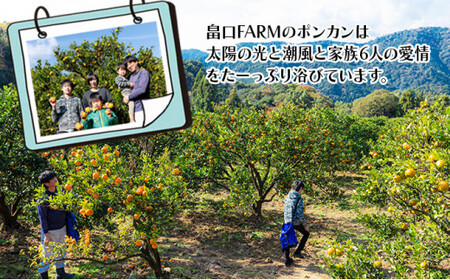 ＜先行予約＞ポンカン【贈答用】10kg　HT14 [H-10] 【畠口FARM（畠口　佳養）】