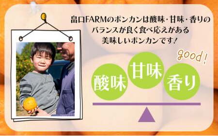 【先行予約】訳ありポンカン ＜5kg＞ サイズ混合　HT19 [H-07] 【畠口FARM（畠口　佳養）】