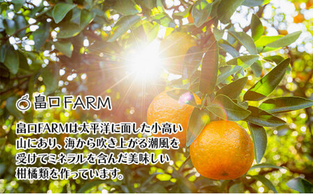 【先行予約】訳ありポンカン ＜5kg＞ サイズ混合　HT19 [H-07] 【畠口FARM（畠口　佳養）】