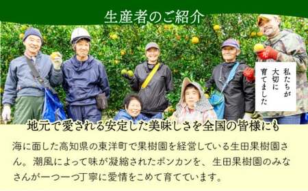 ＜先行予約＞生田の訳ありポンカン【5kg】 国産 東洋町産 訳アリ 甘い コク ジューシー 果肉 高知県 東洋町 四国 お取り寄せ フルーツ 果物 家庭用 自宅用 送料無料 I12 [I-01] 【生田果樹園】