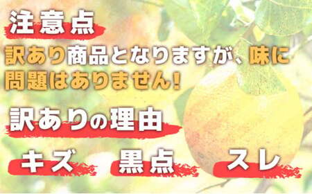 【先行予約】牛が育てる！コクうまポンカン＜5kg＞ミックスサイズ　ko9 [K-01] 【小池農園】