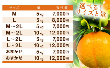 【先行予約】訳ありポンカン　L〜2Lサイズ　5kg　NT2 [N-03] 【布富FARM】