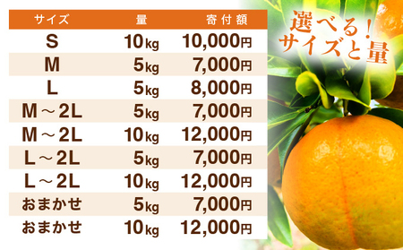 【先行予約】訳ありポンカン　サイズおまかせ　5kg　NT6 [N-05] 【布富FARM】