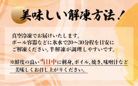 伊勢海老おせちサイズ　5尾セット【冷凍】　S214 【株式会社森海家】