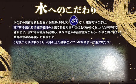 国産うなぎ蒲焼 合計300g（150g×2尾）ウナギ 鰻 高知県 東洋町 四国 お取り寄せ 家庭用 自宅用 贈り物 ギフト タレ・山椒付き うな重 鰻丼 うな丼 うな茶漬け 【送料無料】 U001 [U001] 【東洋町うなぎ株式会社】