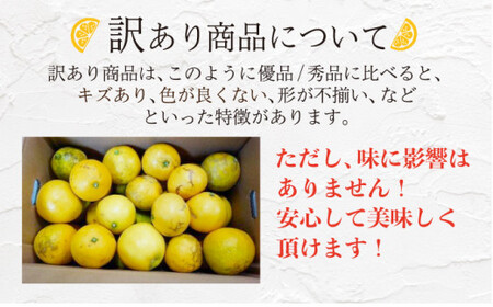 ＜先行予約＞【訳アリ】西内小夏 10kg　N52 [NU-03] 【西内農園】