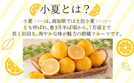 ＜先行予約＞【優品】西内小夏 2kg　N53 [NU-04] 【西内農園】