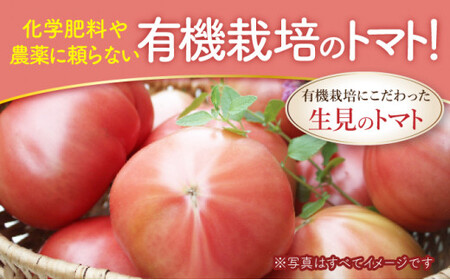 有機トマト＜4kg箱＞ [IK-01] 【生見オーガニックトマトファーム】