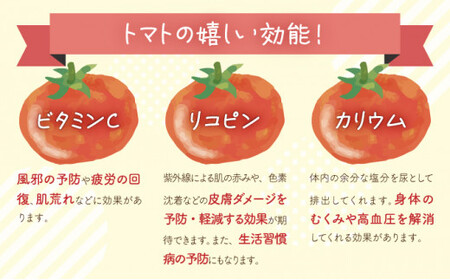 有機トマト＜4kg箱＞ [IK-01] 【生見オーガニックトマトファーム】
