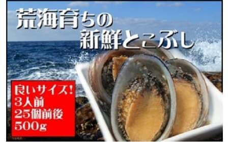 活き〆とこぶし 500g 冷凍 国産 とこぶし トコブシ ながれこ ナガレコ 新鮮 高知県 東洋町 四国 お取り寄せ 送料無料 S239 [S-20] 【株式会社森海家】