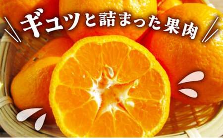 NT2-7-03 ＜先行予約＞【kg数が選べる】秀品ポンカンL〜2L　5kg