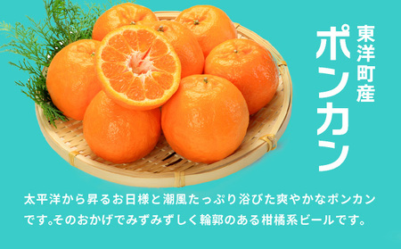 ポンカンビール＜330ml×6本＞【MT001-2】