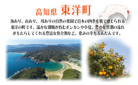 <数量限定>ウチワエビ(ボイル)7匹前後 500gセット【S246】