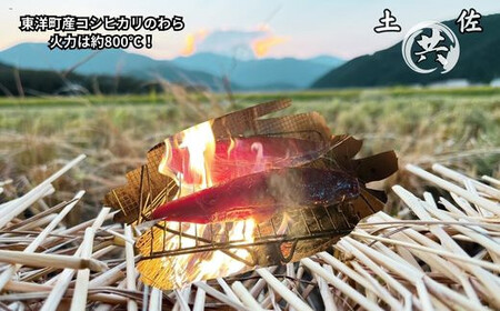 高知甲浦港直送！ わら焼きかつおのたたき 自家製カツオ専用たれ、天日塩付 ＜2節＞【M211-1】