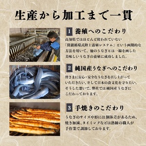 うなぎ白焼き150g 2尾【U012-1】