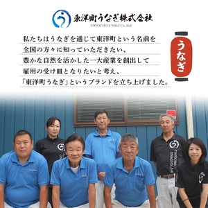 うなぎ白焼き150g 2尾【U012-1】