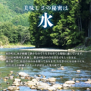 うなぎ白焼き150g 3尾【U012-2】