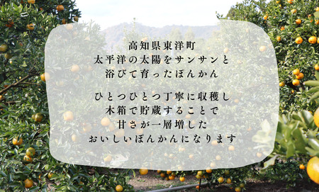 TM001-1 徳村の訳ありぽんかん＜5kg＞国産 東洋町産 訳アリ 甘い コク ジューシー 果肉 高知県 東洋町 四国 お取り寄せ フルーツ 果物 家庭用 自宅用 送料無料