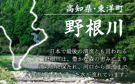 【令和7年度産】MZ001 野根川米10kg こしひかり