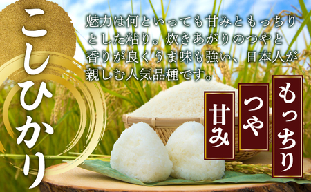 【令和7年度産】MZ002 野根川米5kg こしひかり