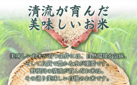 【令和7年度産】MZ002 野根川米5kg こしひかり