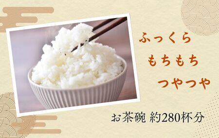 S249-3 ＜2026年10月発送＞令和8年産にこまる ＜20kg＞国産 米 お米 高知県産