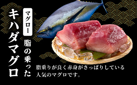 OK001-1 キハダマグロ1kg 岡水産