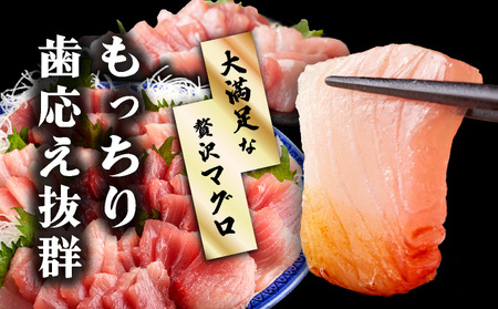 OK001-2 ビンチョウマグロ1kg 岡水産