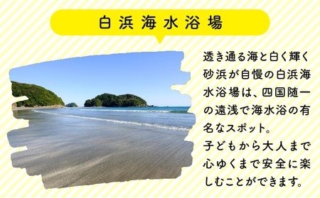 ビーチホッピング利用券