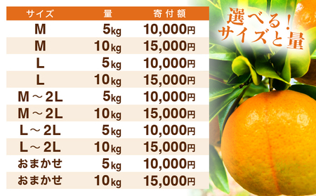 NT2-7-08 <先行予約>【kg数が選べる】秀品ポンカン Mサイズ 10kg