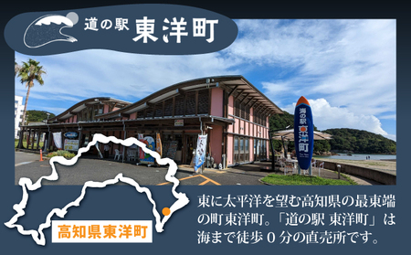 みりん干し さば・あじセット 8枚 高知県 東洋町 送料無料